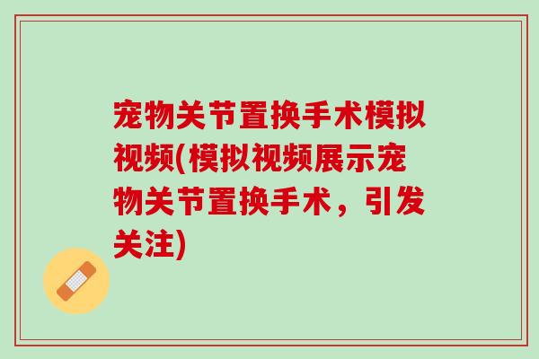 宠物关节置换手术模拟视频(模拟视频展示宠物关节置换手术，引发关注)