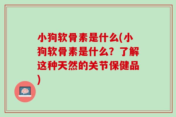 小狗软骨素是什么(小狗软骨素是什么？了解这种天然的关节保健品)