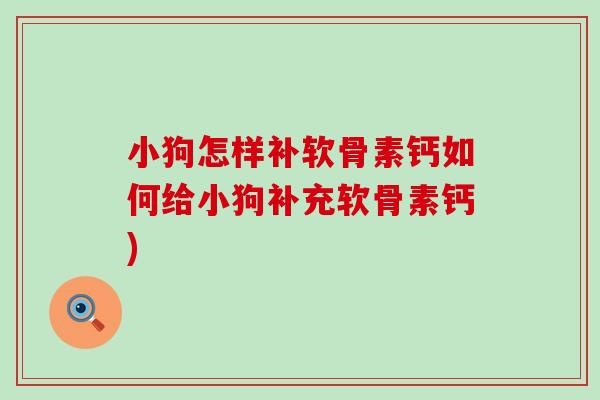 小狗怎样补软骨素钙如何给小狗补充软骨素钙)