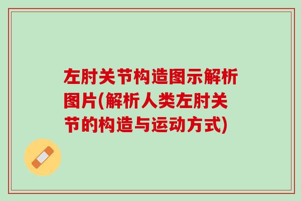 左肘关节构造图示解析图片(解析人类左肘关节的构造与运动方式)