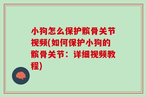 小狗怎么保护髌骨关节视频(如何保护小狗的髌骨关节：详细视频教程)