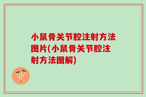 小鼠骨关节腔注射方法图片(小鼠骨关节腔注射方法图解)
