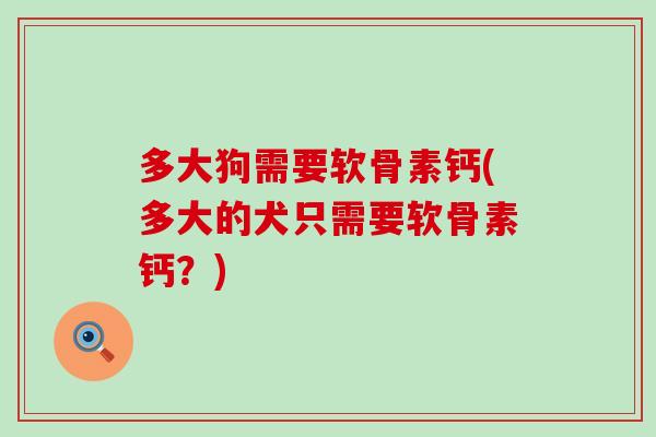 多大狗需要软骨素钙(多大的犬只需要软骨素钙？)