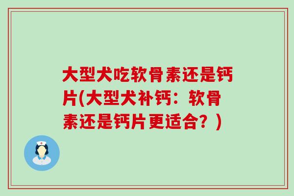 大型犬吃软骨素还是钙片(大型犬补钙：软骨素还是钙片更适合？)