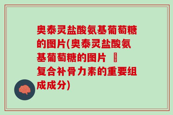 奥泰灵盐酸氨基葡萄糖的图片(奥泰灵盐酸氨基葡萄糖的图片 – 复合补骨力素的重要组成成分)