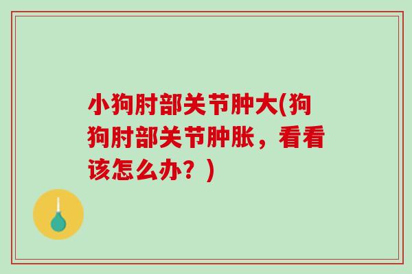 小狗肘部关节肿大(狗狗肘部关节肿胀，看看该怎么办？)