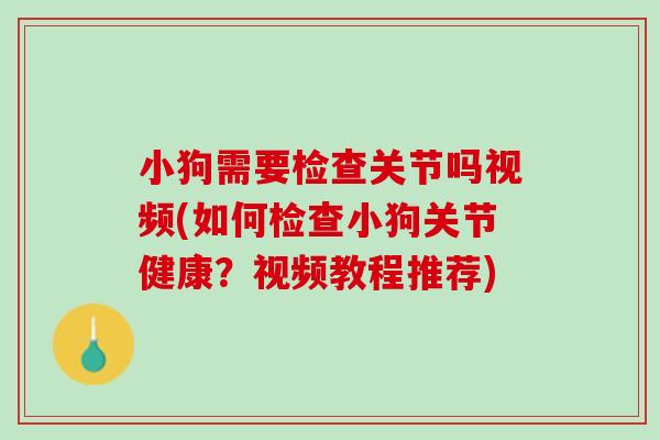 小狗需要检查关节吗视频(如何检查小狗关节健康？视频教程推荐)