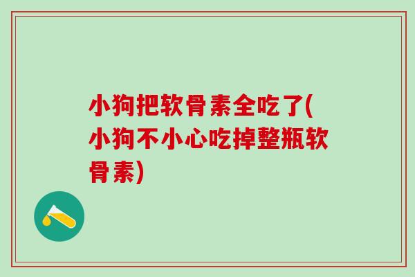 小狗把软骨素全吃了(小狗不小心吃掉整瓶软骨素)