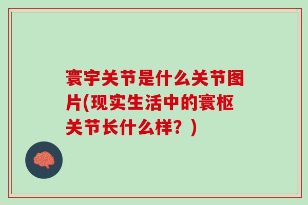 寰宇关节是什么关节图片(现实生活中的寰枢关节长什么样？)