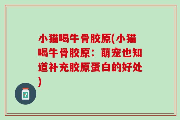 小猫喝牛骨胶原(小猫喝牛骨胶原：萌宠也知道补充胶原蛋白的好处)