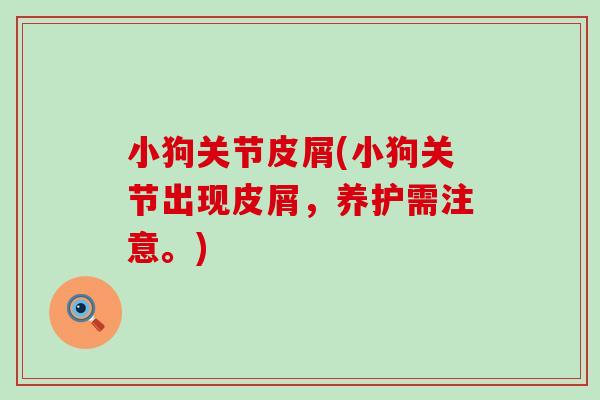 小狗关节皮屑(小狗关节出现皮屑，养护需注意。)