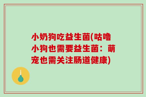小奶狗吃益生菌(咕噜小狗也需要益生菌：萌宠也需关注肠道健康)