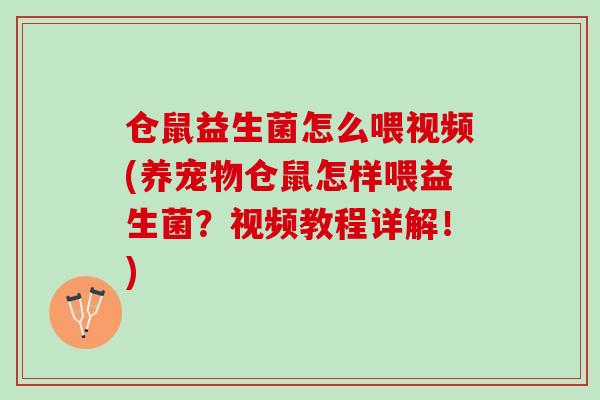 仓鼠益生菌怎么喂视频(养宠物仓鼠怎样喂益生菌？视频教程详解！)