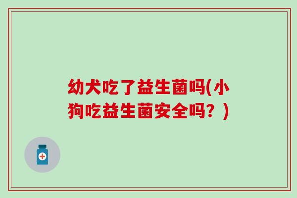 幼犬吃了益生菌吗(小狗吃益生菌安全吗？)