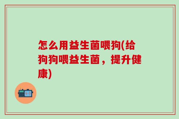 怎么用益生菌喂狗(给狗狗喂益生菌，提升健康)