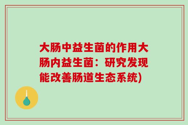 大肠中益生菌的作用大肠内益生菌：研究发现能改善肠道生态系统)