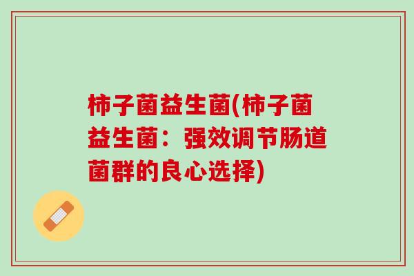 柿子菌益生菌(柿子菌益生菌：强效调节肠道菌群的良心选择)