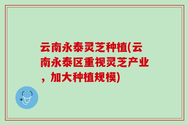 云南永泰灵芝种植(云南永泰区重视灵芝产业，加大种植规模)