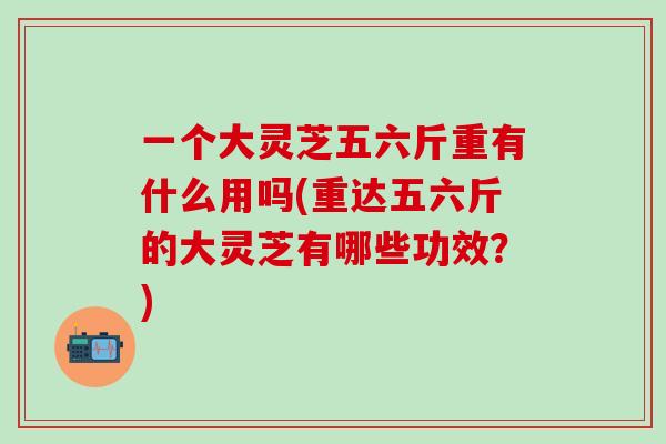 一个大灵芝五六斤重有什么用吗(重达五六斤的大灵芝有哪些功效?) 一个大灵芝五六斤重有什么用吗(重达五六斤的大灵芝有哪些功效?)