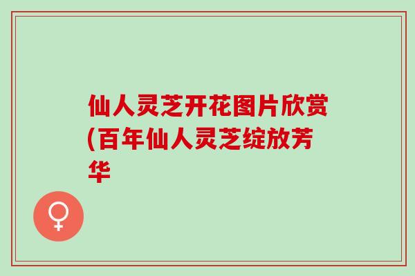 仙人灵芝开花图片欣赏(百年仙人灵芝绽放芳华