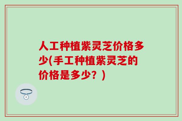 人工种植紫灵芝价格多少(手工种植紫灵芝的价格是多少？)