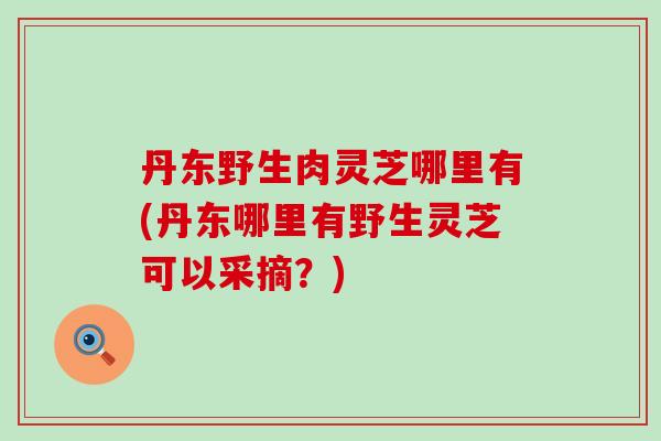 丹东野生肉灵芝哪里有(丹东哪里有野生灵芝可以采摘？)