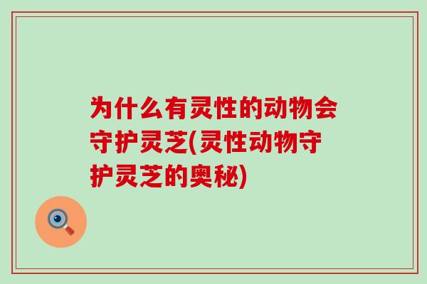为什么有灵性的动物会守护灵芝(灵性动物守护灵芝的奥秘)