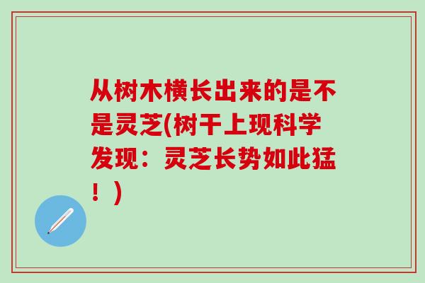 从树木横长出来的是不是灵芝(树干上现科学发现：灵芝长势如此猛！)