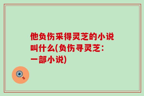 他负伤采得灵芝的小说叫什么(负伤寻灵芝：一部小说)