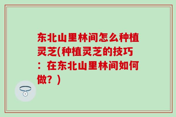 东北山里林间怎么种植灵芝(种植灵芝的技巧：在东北山里林间如何做？)
