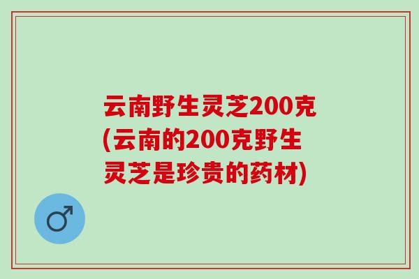 云南野生灵芝200克(云南的200克野生灵芝是珍贵的药材)