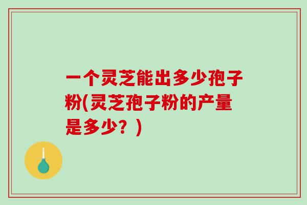 一个灵芝能出多少孢子粉(灵芝孢子粉的产量是多少？)