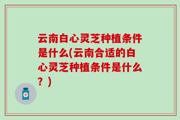 云南白心灵芝种植条件是什么(云南合适的白心灵芝种植条件是什么？)