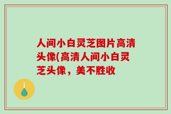 人间小白灵芝图片高清头像(高清人间小白灵芝头像，美不胜收