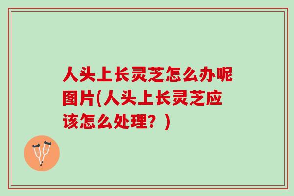 人头上长灵芝怎么办呢图片(人头上长灵芝应该怎么处理？)