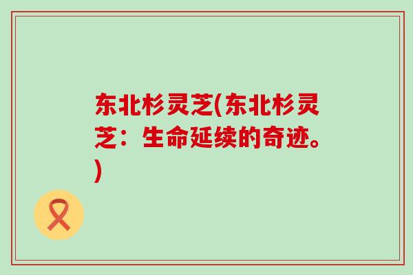 东北杉灵芝(东北杉灵芝:生命延续的奇迹。) 东北杉灵芝(东北杉灵芝:生命延续的奇迹。)