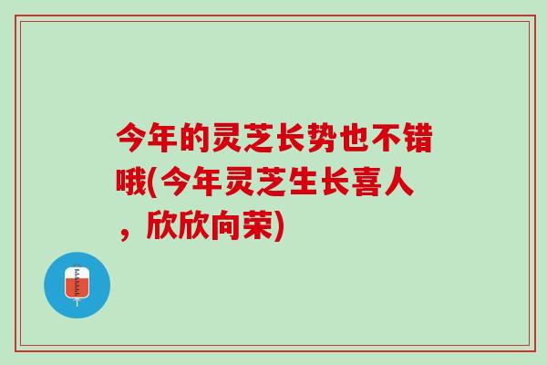今年的灵芝长势也不错哦(今年灵芝生长喜人，欣欣向荣)