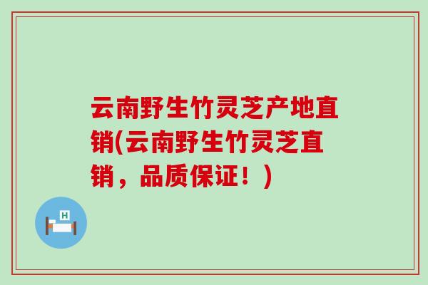 云南野生竹灵芝产地直销(云南野生竹灵芝直销，品质保证！)