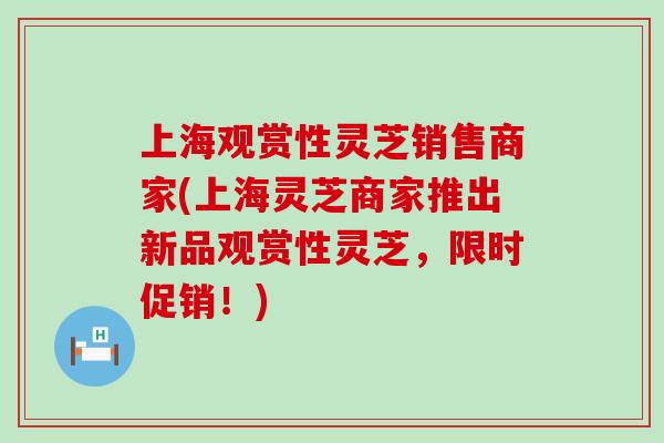 上海观赏性灵芝销售商家(上海灵芝商家推出新品观赏性灵芝，限时促销！)