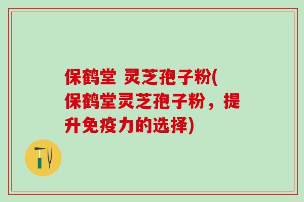 保鹤堂 灵芝孢子粉(保鹤堂灵芝孢子粉，提升的选择)