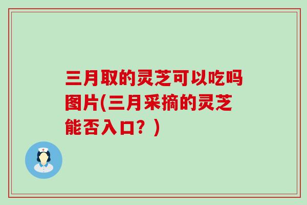 三月取的灵芝可以吃吗图片(三月采摘的灵芝能否入口？)