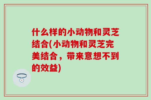 什么样的小动物和灵芝结合(小动物和灵芝完美结合，带来意想不到的效益)