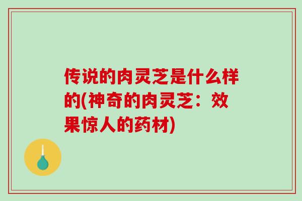 传说的肉灵芝是什么样的(神奇的肉灵芝：效果惊人的药材)