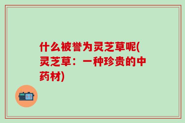什么被誉为灵芝草呢(灵芝草:一种珍贵的材) 什么被誉为灵芝草呢(灵芝草:一种珍贵的材)