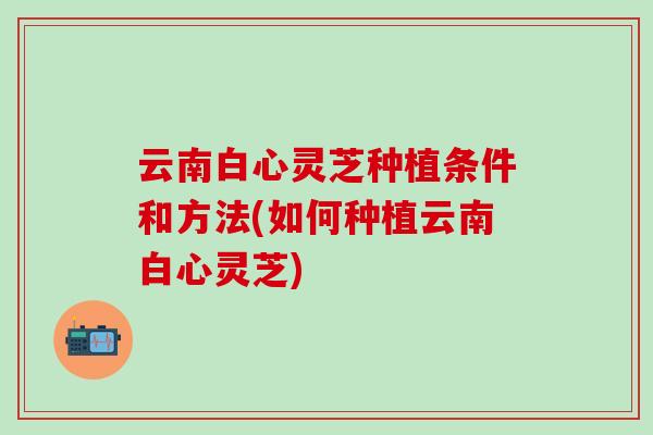 云南白心灵芝种植条件和方法(如何种植云南白心灵芝)