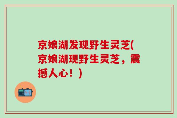 京娘湖发现野生灵芝(京娘湖现野生灵芝，震撼人心！)