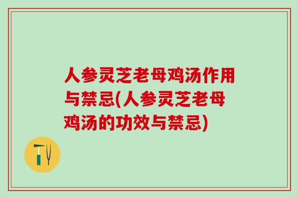 人参灵芝老母鸡汤作用与禁忌(人参灵芝老母鸡汤的功效与禁忌)