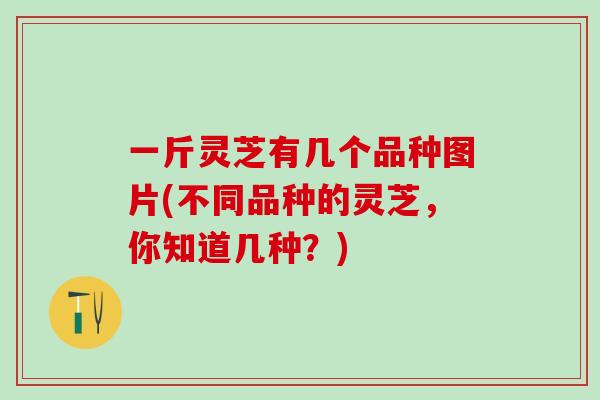 一斤灵芝有几个品种图片(不同品种的灵芝，你知道几种？)