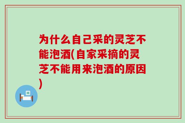 为什么自己采的灵芝不能泡酒(自家采摘的灵芝不能用来泡酒的原因)