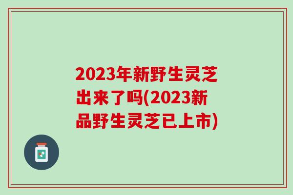 2023年新野生灵芝出来了吗(2023新品野生灵芝已上市)